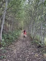 Woodland section, on the way inland to cross Milton Creek